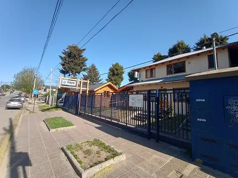 Av Alte G Brown 1000