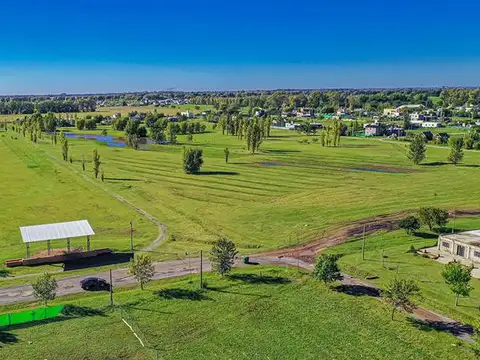 AO12 Y LAS TARDES LOTE 855 - LAS TARDES