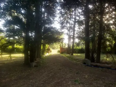 Terreno en Venta en Domselaar, USD 25.000