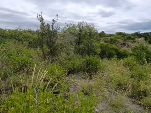 Terreno en Venta de 1100,0 m2