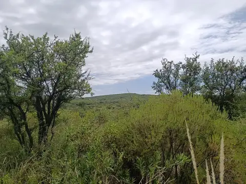 Dique la Viña, Villa de las Rosas, Traslasierra