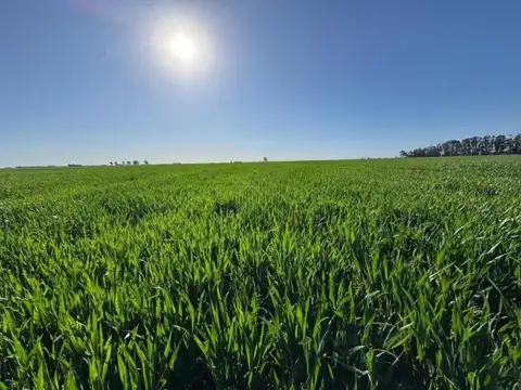 Campo en venta - 8.090.000Mts2 - Coronel Dorrego