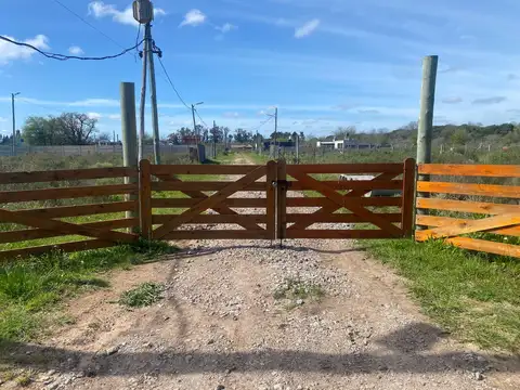 403 151 BIS Y154 LOTE 30