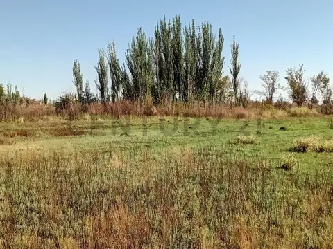 Terreno en Venta de 6,0 m2