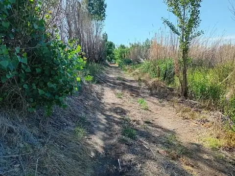 SEVERIO DEL CASTILLO Y PUEBLA S/N , Piso 0