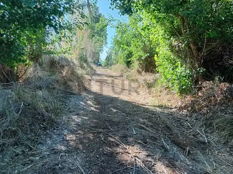 SEVERIO DEL CASTILLO Y PUEBLA S/N , Piso 0