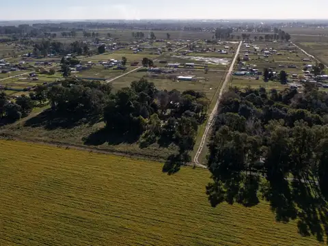 Terreno en Venta de 813,0 m2