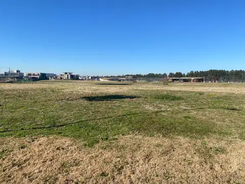 Av de los lagos al 1800