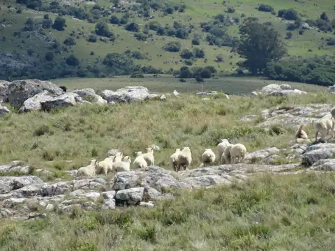 Ruta 39 y 15 kms de camino vecinal