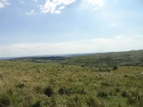 Campo - Venta - Uruguay, Maldonado