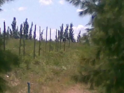 Campo en Venta Chacra