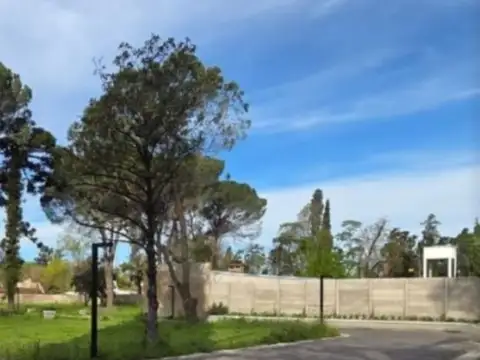 Terreno en Venta de 300,0 m2