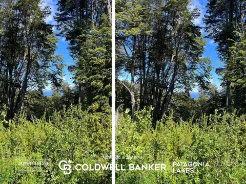 VENTA Lote 3685m2 vista al lago Faldeo del Bayo Villa La Angostura