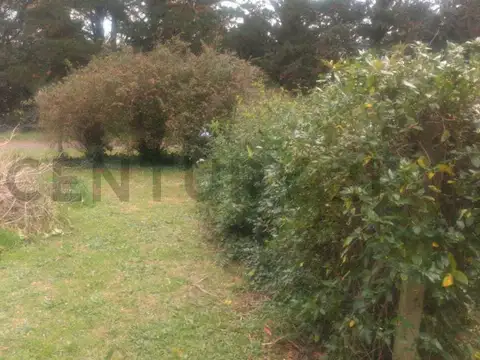 Terreno en Venta 20  mts Frente