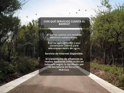 Pablo Strumi , Piso 0