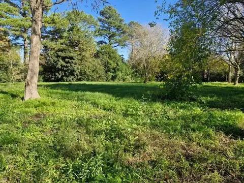 LOTE EN VENTA SOBRE CALLE RIVADAVIA, EL MORO, MARCOS PAZ