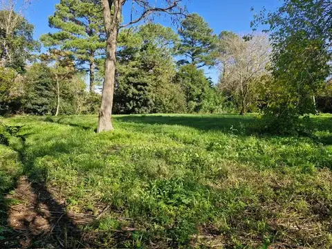 Terreno en Venta 37  mts Frente