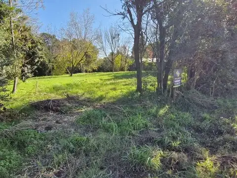 Terreno en Venta 45  mts Fondo