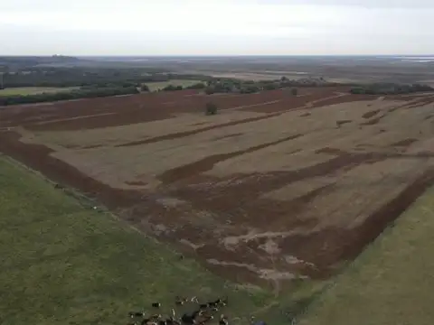 Campo agricola 37 has en Rincon de Nogoya