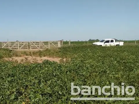 118 HA AGRICOLAS SAN GENARO