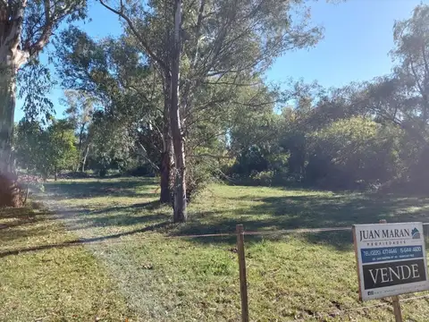 Los Pinos Mza 100 Lote 8a