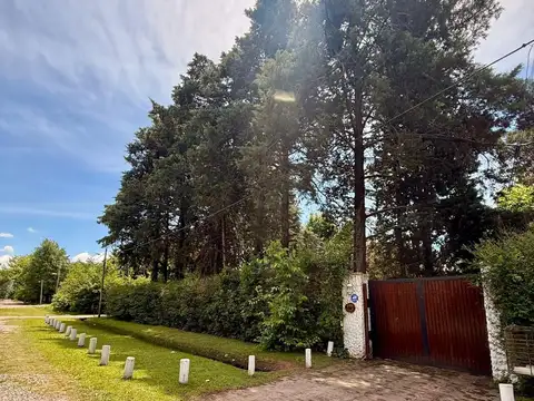 Pedro de Angelis 5100