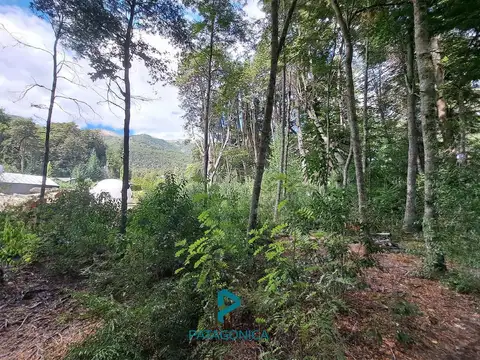 Terreno en Venta 50  mts Frente