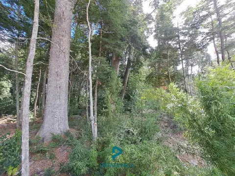 VENTA Lote 1996 m2 plano, proyecto aprobado, con servicios. Altos de Manzano Villa la Angostura