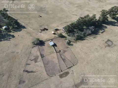 Único campo mixto de 650 has con estupendo casco a 2500mts de Ruta 29 C. Brandsen
