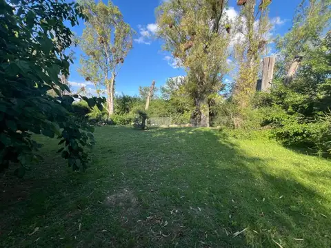 Av del Piamonte 5700