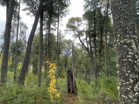 Terreno en Venta en Faldeo Del Bayo, USD 72.000