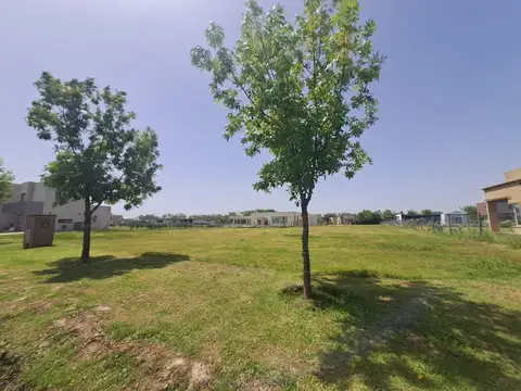 SANTA ISABEL RUTA 26 CAMINO A DIQUE LUJAN