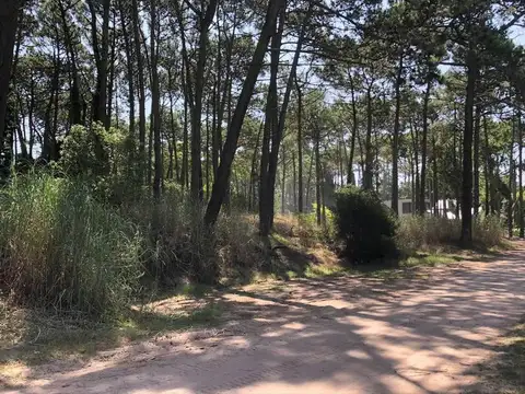 Terreno en Venta en Carilo, USD 170.000