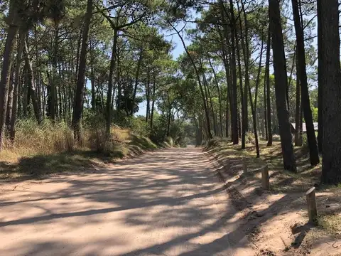 ESPECTACULAR LOTE SOBRE DIVISADERO DE  O 3000 M2 - UNICO  