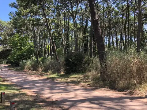 Terreno en Venta de 1000,0 m2