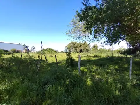 Campo en Venta de 6  ha
