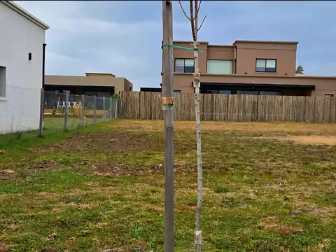 Terreno en Venta 15  mts Frente