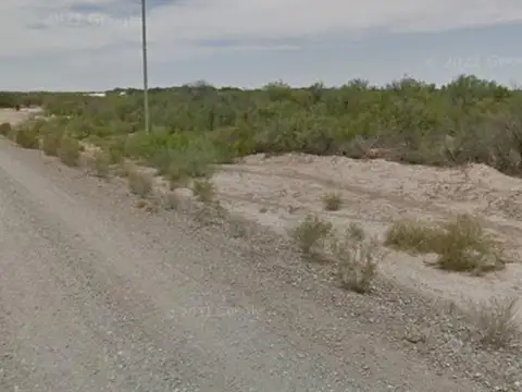 CAMPO EN VENTA, LAVALLE MENDOZA