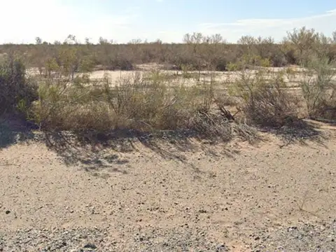CAMPO EN VENTA, LAVALLE MENDOZA