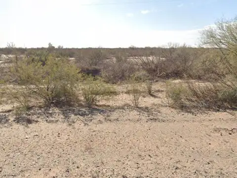 CAMPO EN VENTA, LAVALLE MENDOZA