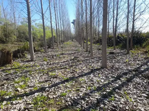 VENTA TERRENO 18 HECTAREAS 2da SEC. SAN FERNANDO