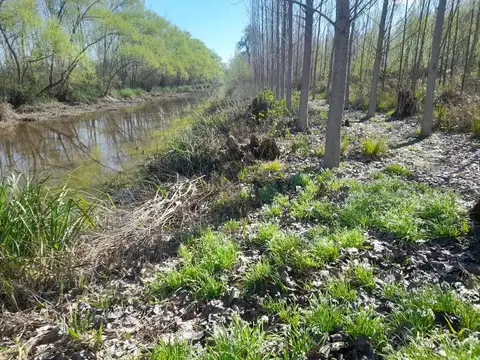 Islas del Delta, 2da Seccion, Arroyo Estudiante y Arroyo Las Cañas