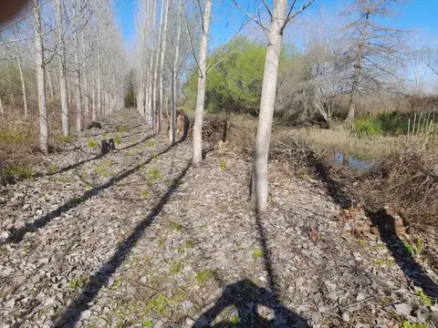 Terreno en Venta en Zona Delta San Fernando, USD 34.000