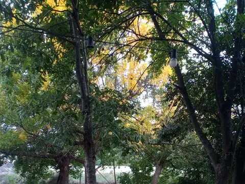 202 e/ 483 y 492 100