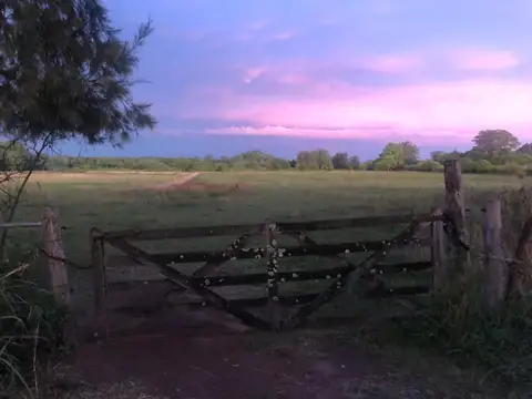 Campo en alquiler x mes en Pilar Ruta 34 Asociación Argentina de Polo