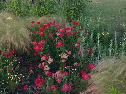 Campo en alquiler x mes en Pilar Ruta 34 Asociación Argentina de Polo
