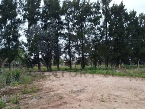 493 entre 8 y 9 , Piso 0