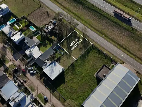 Camino de la unidad y lamas