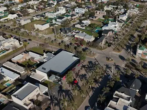 Camino de la unidad y lamas