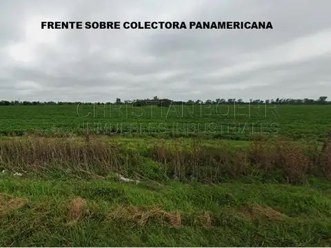 Terreno en Venta en Zarate, USD 16.800.000